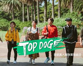 果冻视频《TOP DOG》免费在线观看