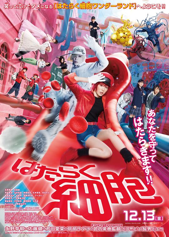 果冻传煤《工作细胞 真人版 はたらく細胞》免费在线观看
