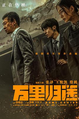 果冻视频《万里归途》免费在线观看