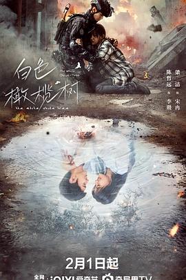 果酱视频《白色橄榄树》免费在线观看