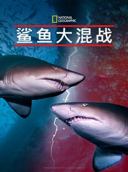 果冻视频《鲨鱼大混战》免费在线观看