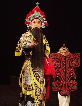 果酱视频《袁崇焕2009》免费在线观看