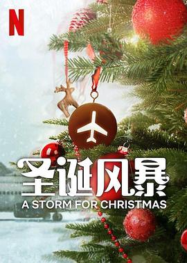 果冻传煤《圣诞风暴》免费在线观看